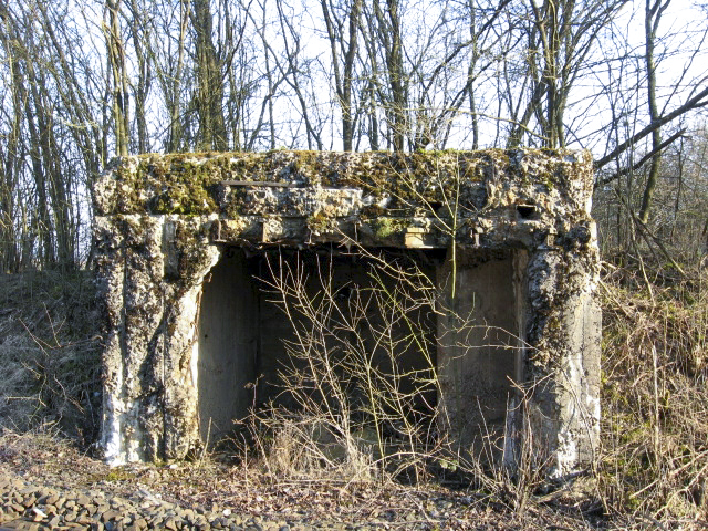 Ligne Maginot - HAMMELSWIESE 2 - (Blockhaus pour arme infanterie) - L'entrée - Christian LENHARD