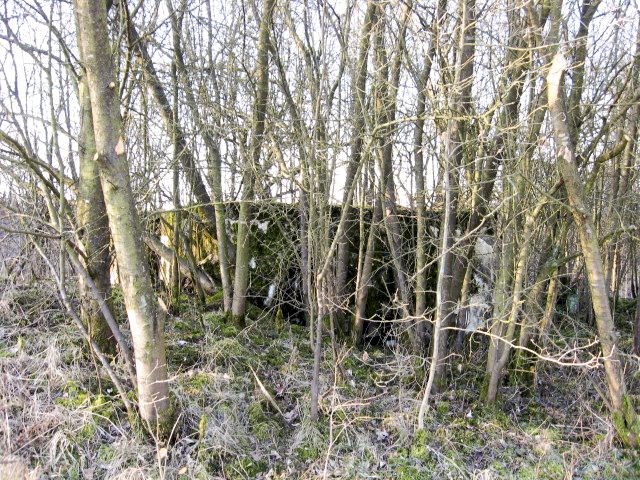 Ligne Maginot - HAMMELSWIESE 2 - (Blockhaus pour arme infanterie) - Façade de tir - Christian LENHARD