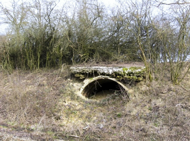 Ligne Maginot - HAMMELSWIESE 4 - (Abri) - Vue générale - Christian LENHARD