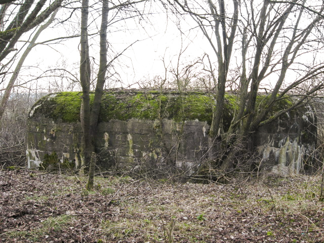 Ligne Maginot - HAMMELSWIESE 5 - (Casemate d'infanterie) - Vue générale - Christian LENHARD