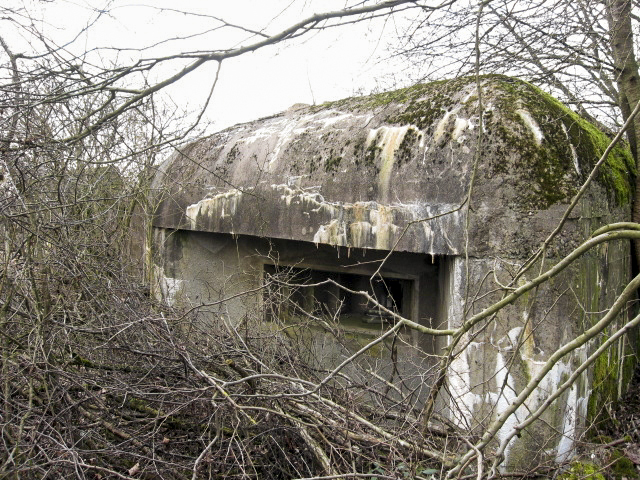 Ligne Maginot - HAMMELSWIESE 5 - (Casemate d'infanterie) - Façade de tir Ouest - Christian LENHARD