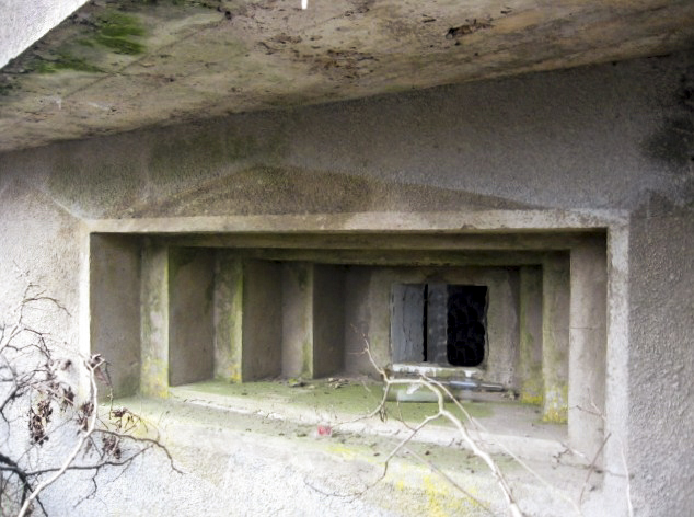 Ligne Maginot - HAMMELSWIESE 5 - (Casemate d'infanterie) - Créneau mitrailleuse - Christian LENHARD