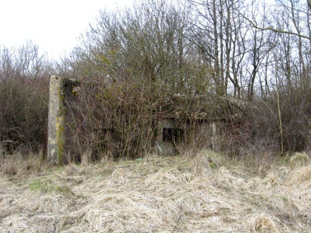 Ligne Maginot - HAMMELSWIESE 5 - (Casemate d'infanterie) - Façade de tir Est
Créneau du canon et faux créneau du mur d'aile - Christian LENHARD