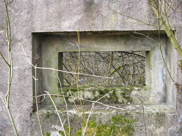 Ligne Maginot - HAMMELSWIESE 5 - (Casemate d'infanterie) - Faux créneau - Christian LENHARD