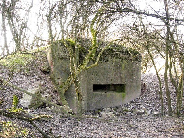 Ligne Maginot - HAMMELSWIESE 10 - (Blockhaus pour arme infanterie) - Façade de tir - Christian LENHARD