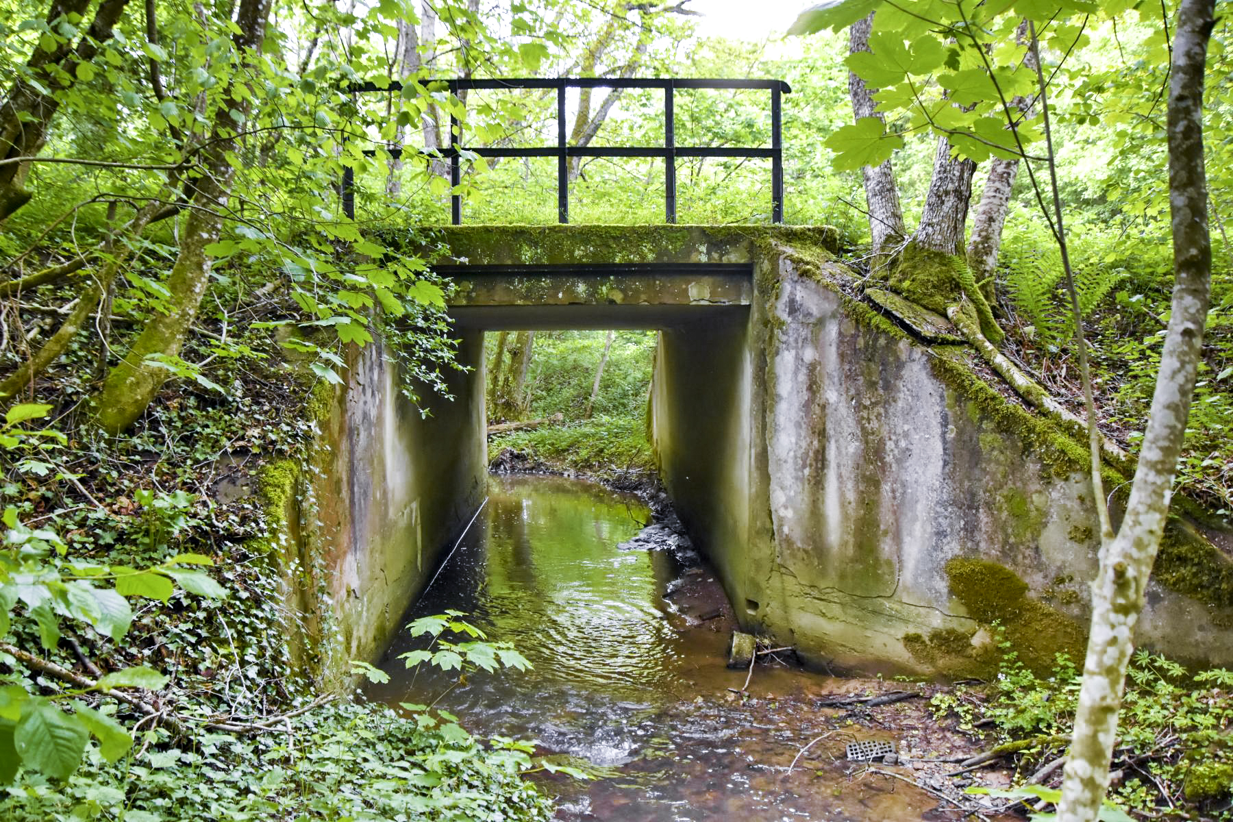 Ligne Maginot - VF60 - ANTENNE DE L'OUVRAGE DU FOUR-à-CHAUX - (RESEAU - Voie 60 - Antenne ou rocade ferroviaire) - 6 - PONT SUR LE SCHMELZBACH - Daniel Froehly