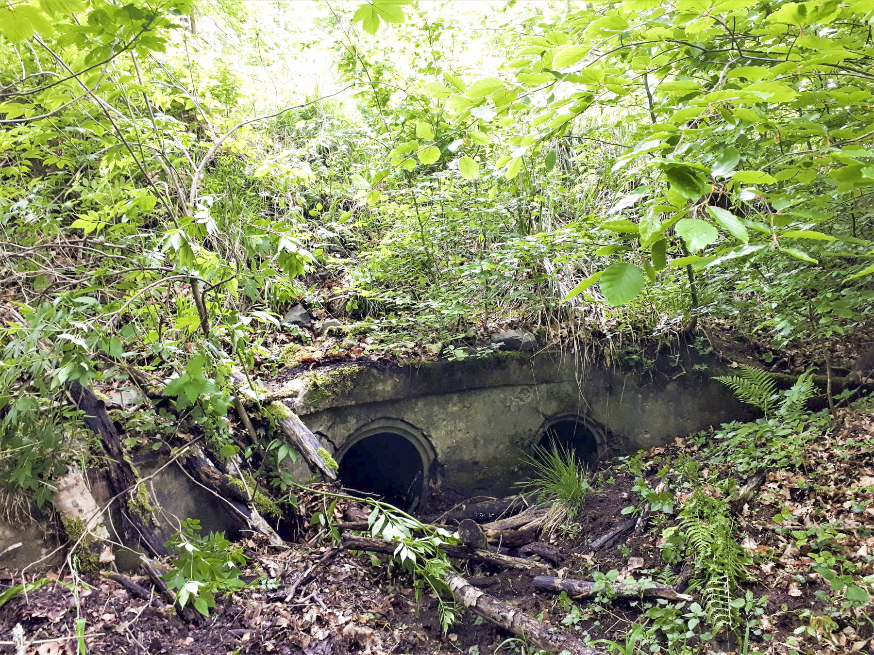 Ligne Maginot - VF60 - ANTENNE DE L'OUVRAGE DU FOUR-à-CHAUX - (RESEAU - Voie 60 - Antenne ou rocade ferroviaire) - 3 - PASSAGE SUR LE VERLORENERBACH
Le coté amont maçonné - Gregory Fuchs