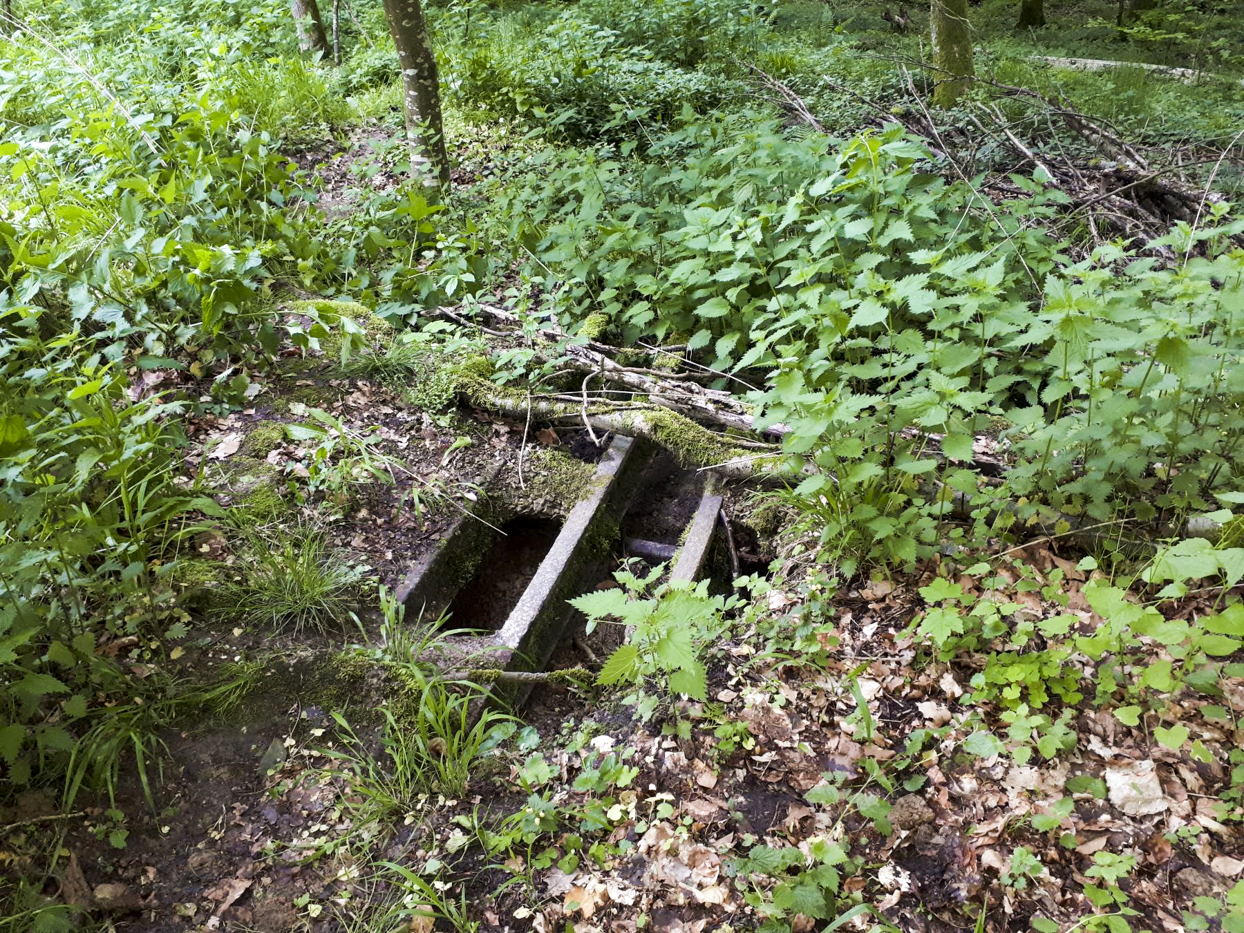 Ligne Maginot - VF60 - ANTENNE DE L'OUVRAGE DU FOUR-à-CHAUX - (RESEAU - Voie 60 - Antenne ou rocade ferroviaire) - Pont détruit et remblayé au niveau de l'épingle entre le retournement et le pont sur le Verlorenerbach - Gregory Fuchs