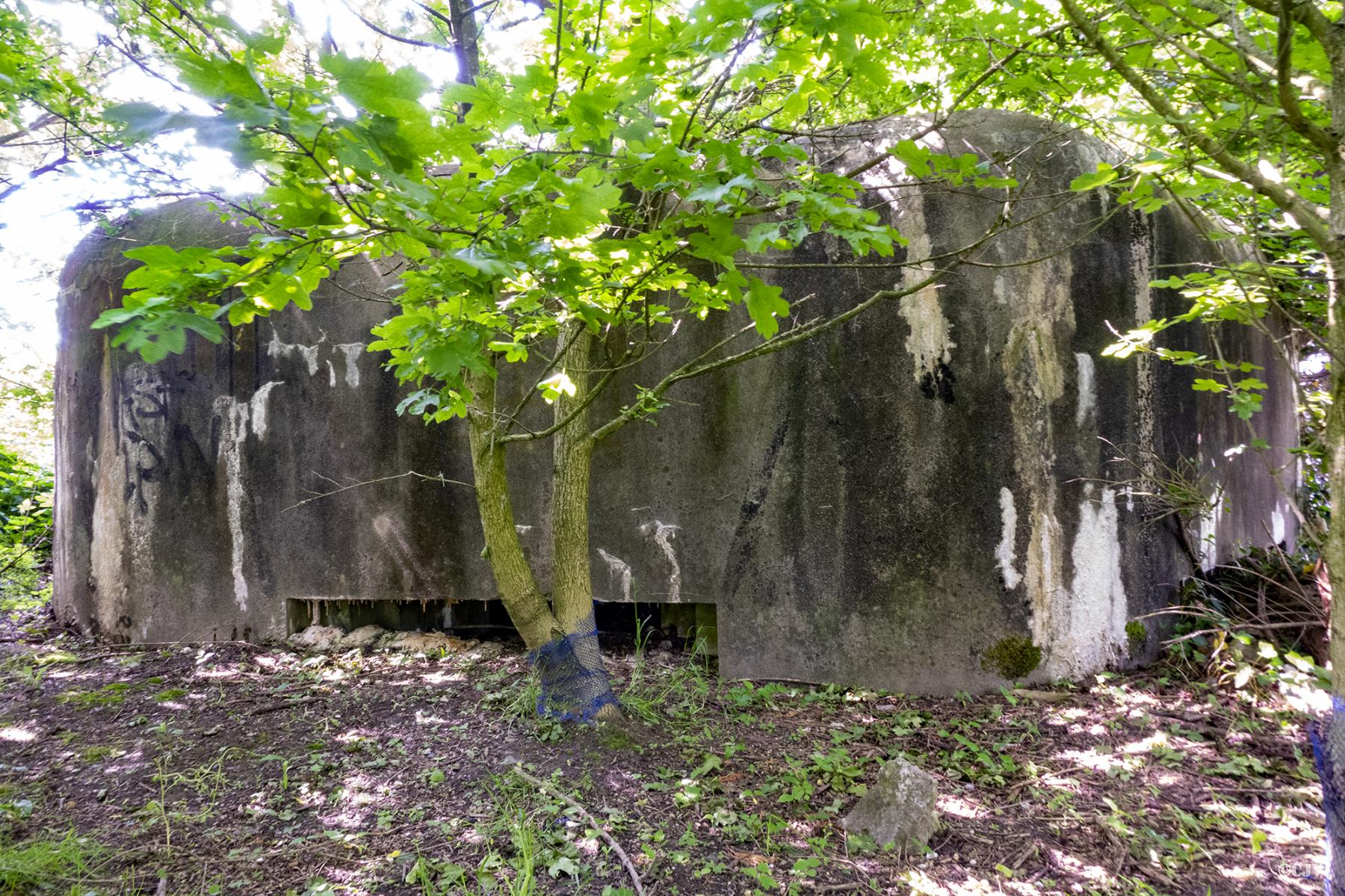 Ligne Maginot - B248 - MAISONS CATTEAU - (Blockhaus pour canon) - Deux des trois créneaux - Lia VERMEULEN