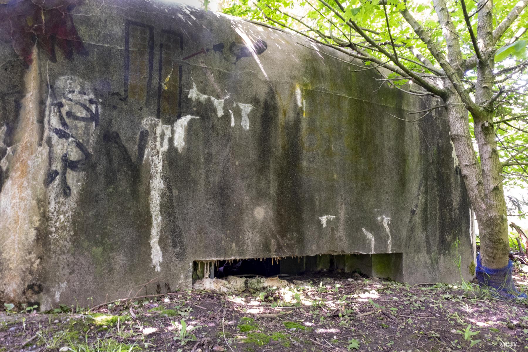 Ligne Maginot - B248 - MAISONS CATTEAU - (Blockhaus pour canon) - Le créneau frontal - Lia VERMEULEN