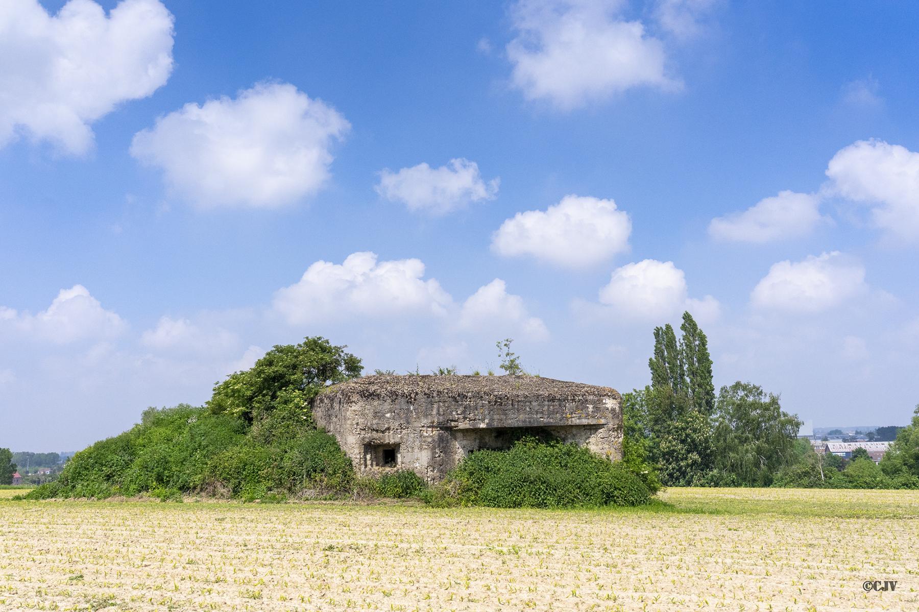 Ligne Maginot - B250 - NOUVEAU MONDE - (Blockhaus pour canon) - Vue général - Lia VERMEULEN