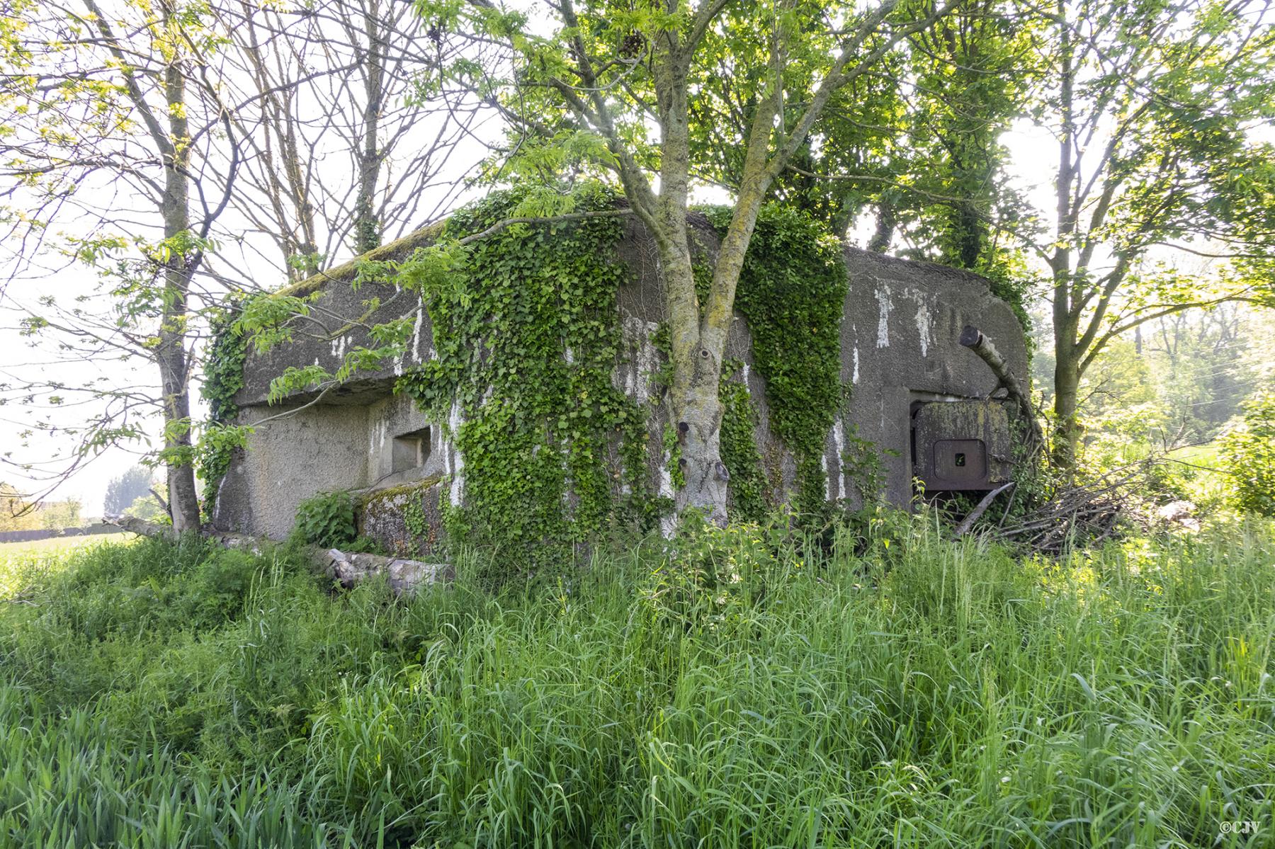 Ligne Maginot - B263 - LE VERTUQUET - (Blockhaus pour canon) -  - Lia VERMEULEN