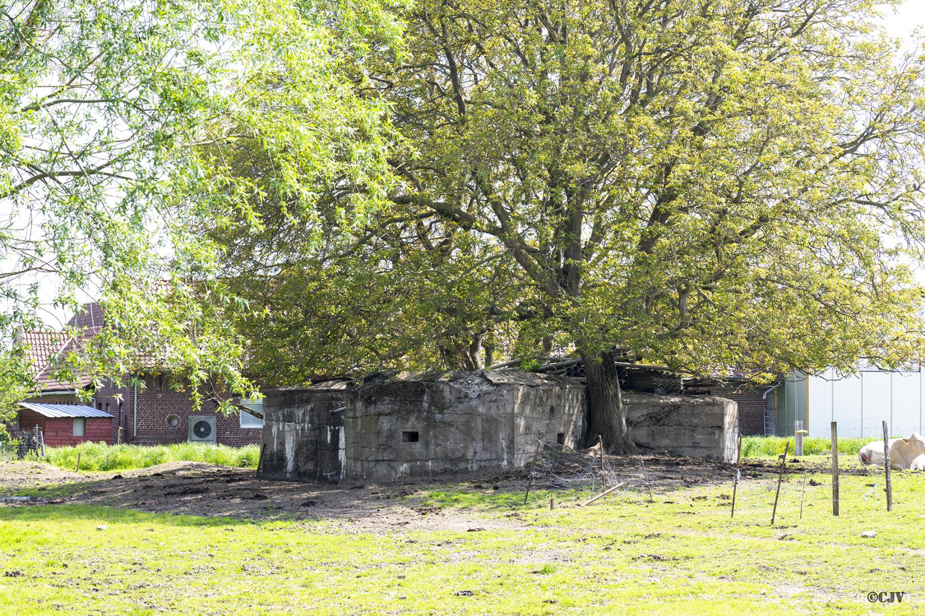 Ligne Maginot - BEF 8 - CHATEAU DES BOIS NORD - (Abri) -  - Lia VERMEULEN