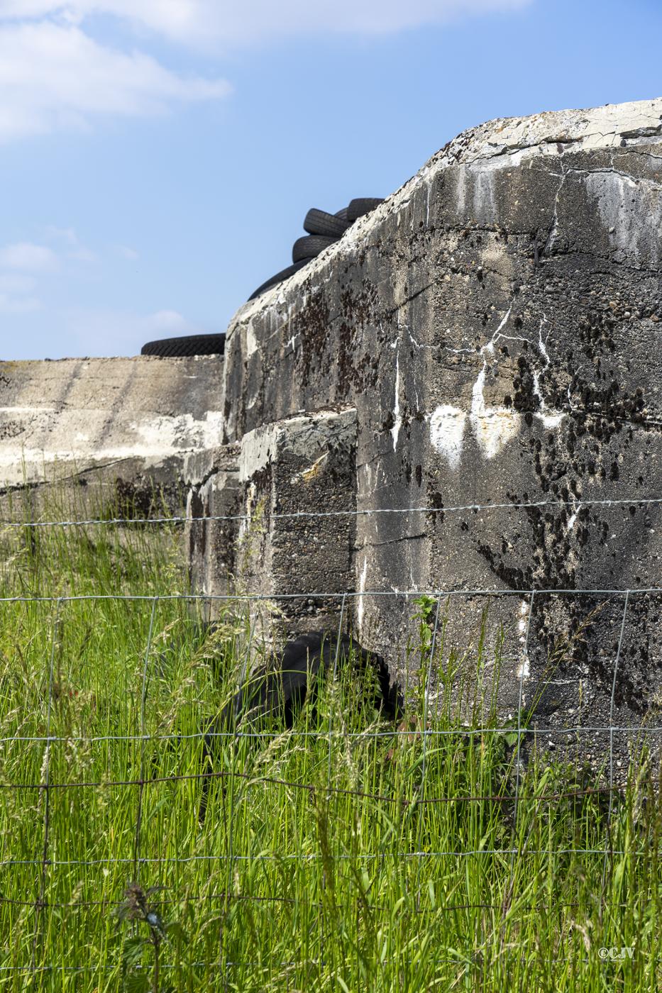 Ligne Maginot - BEF 9 - CHATEAU DES BOIS SUD - (Abri) - Détail du mur - Lia VERMEULEN