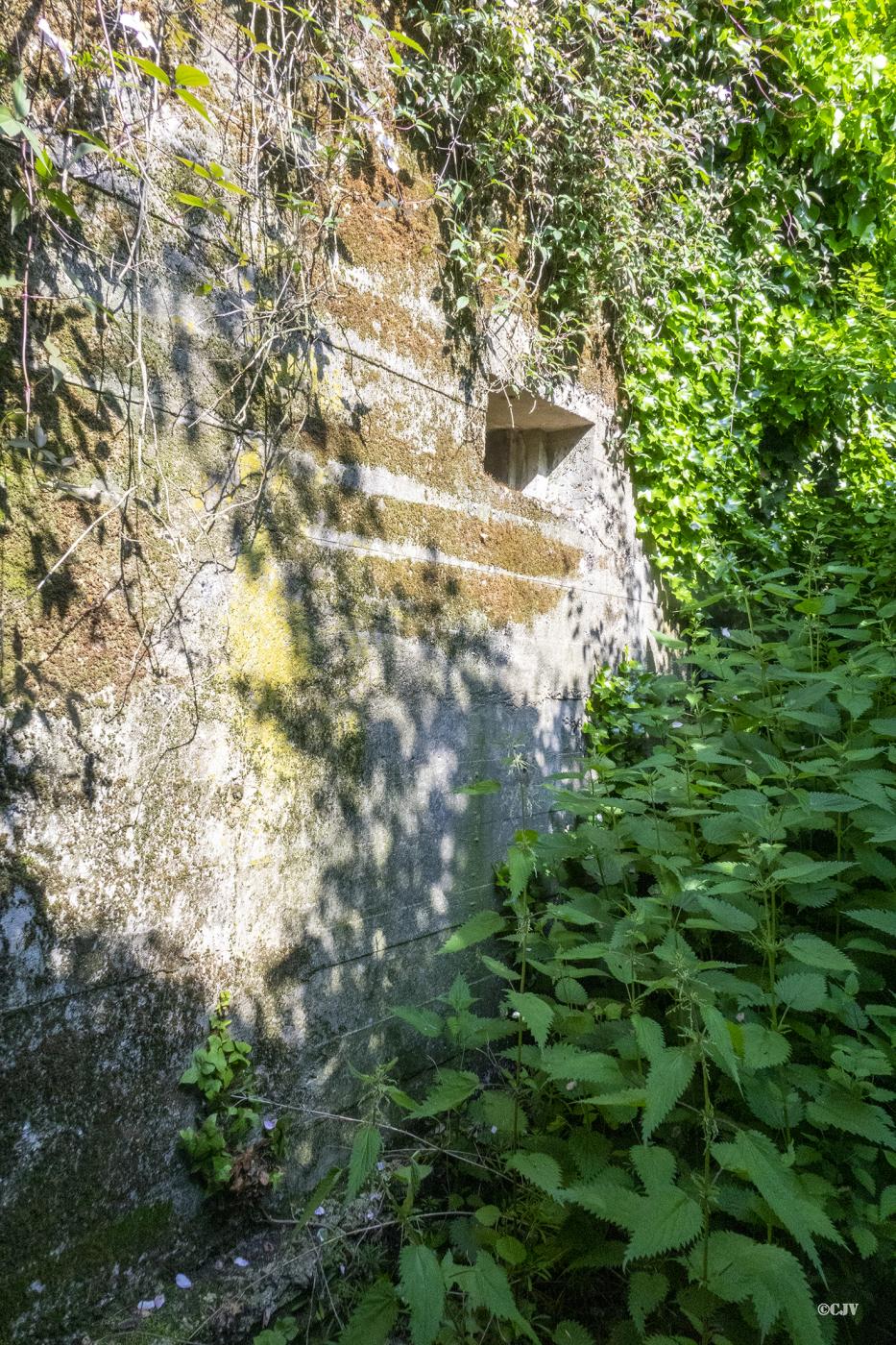 Ligne Maginot - BEF 211 - DRONKAERT SUD 3 - (Blockhaus pour canon) - Le créneau frontal - Lia VERMEULEN