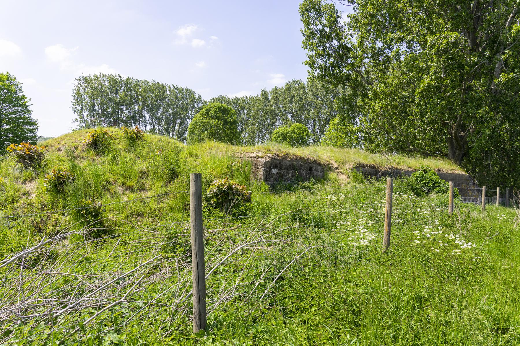 Ligne Maginot - BEF 725 - LE HALOT SUD - (Blockhaus pour arme infanterie) - L'arrière du blockhaus - Lia VERMEULEN