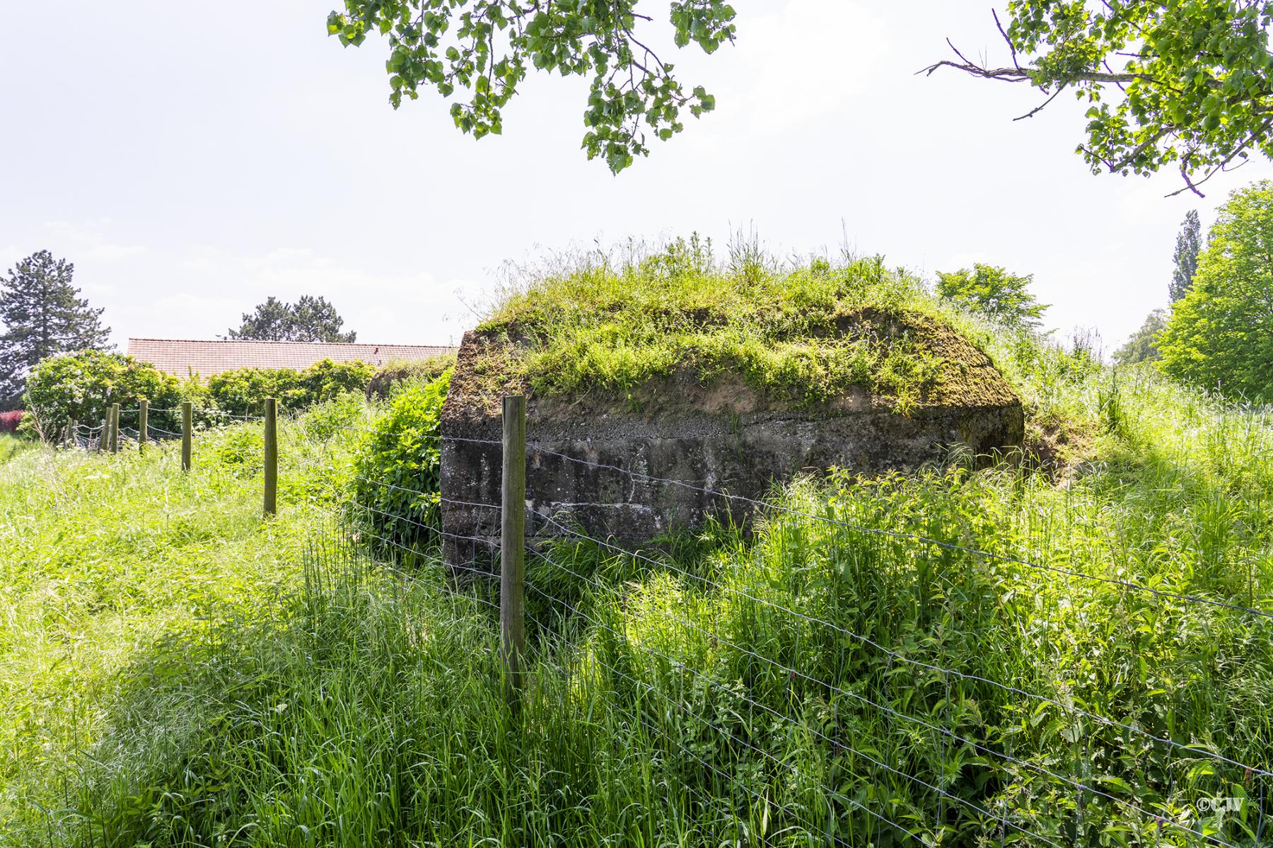 Ligne Maginot - BEF 725 - LE HALOT SUD - (Blockhaus pour arme infanterie) - Le blockhaus est partiellement remblayé - Lia VERMEULEN