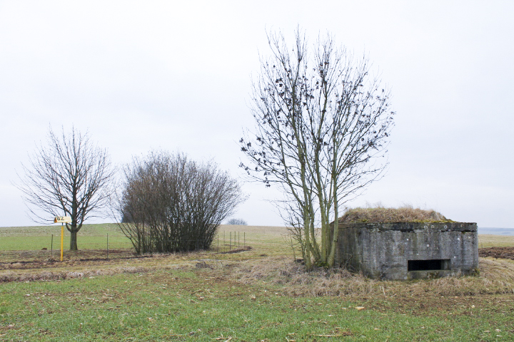 Ligne Maginot - HILLEN NORD - (Blockhaus pour canon) - Vue générale - Christian LENHARD