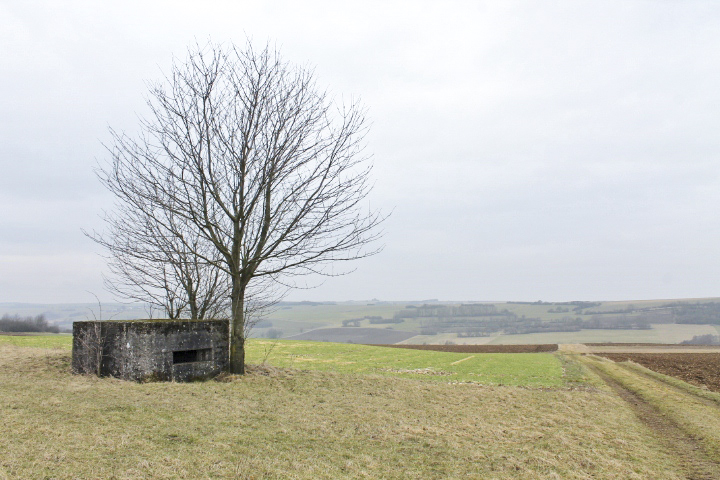 Ligne Maginot - HILLEN OUEST - (Blockhaus pour arme infanterie) - Vue générale - Christian LENHARD