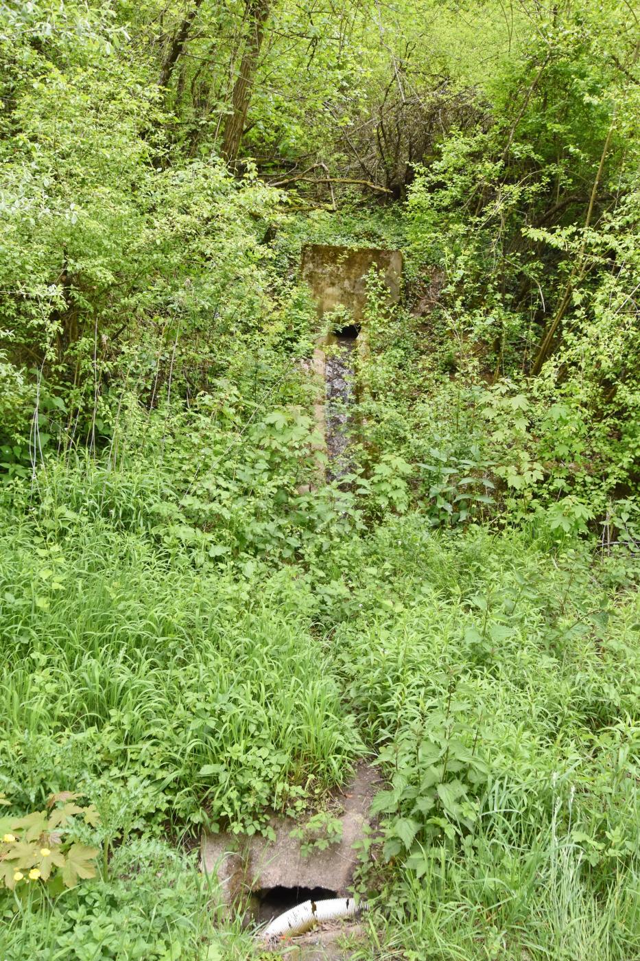 Ligne Maginot - VF60 - ANTENNE DE L'OUVRAGE DU FOUR-à-CHAUX - (RESEAU - Voie 60 - Antenne ou rocade ferroviaire) - 8 - Buse d'écoulement de l'égout de l'entrée hommes passant sous la voie au bas du FAC - Daniel Froehly