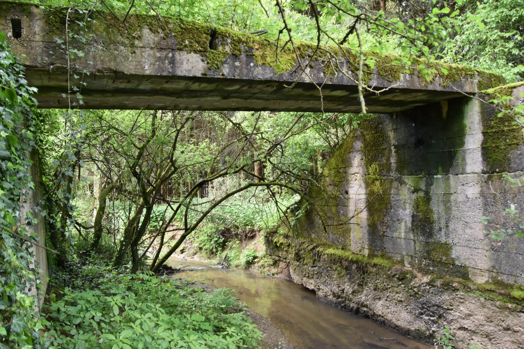 Ligne Maginot - VF60 - ANTENNE DE L'OUVRAGE DE SCHOENENBOURG - (RESEAU - Voie 60 - Antenne ou rocade ferroviaire) - 22 - PONT sur le BIRLENBAECHEL
Le pont vu du sud. Il était de part et d'autre d'un talus destiné à compenser une dépression du terrain. - Daniel Froehly