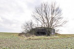 Ligne Maginot - KALKOFEN 3 - (Blockhaus pour canon) - Vue générale