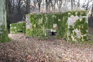 Ligne Maginot - CB226 - BOIS DE CATTENOM 02 - (Blockhaus pour arme infanterie) - On notera la présence d'une petite annexe, inhabituelle sur ce genre de réalisation.
