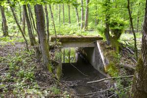 Ligne Maginot - VF60 - ANTENNE DE L'OUVRAGE DU HOCHWALD - (RESEAU - Voie 60 - Antenne ou rocade ferroviaire) - 6 - PONT SUR LE GEFAELLBAECHEL 1
Le pont sur le ruisseau