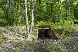 Ligne Maginot - VF60 - ANTENNE DE L'OUVRAGE DU HOCHWALD - (RESEAU - Voie 60 - Antenne ou rocade ferroviaire) - 6 - PONT SUR LE GEFAELLBAECHEL 1
Le pont sur le ruisseau