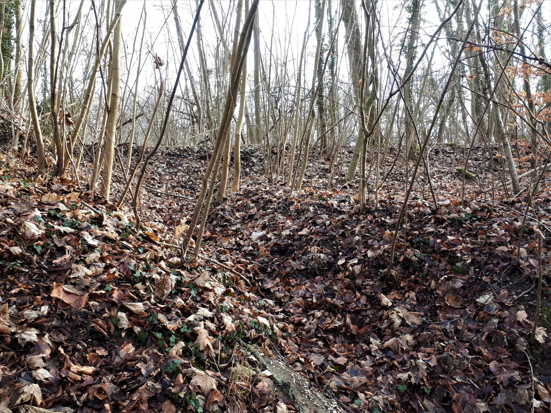 Ligne Maginot - UHRICH - HOCHE (1° BON 237° RI) - (PC de Sous-Quartier) - Tranchée sur le rempart du flanc gauche - Gregory Fuchs