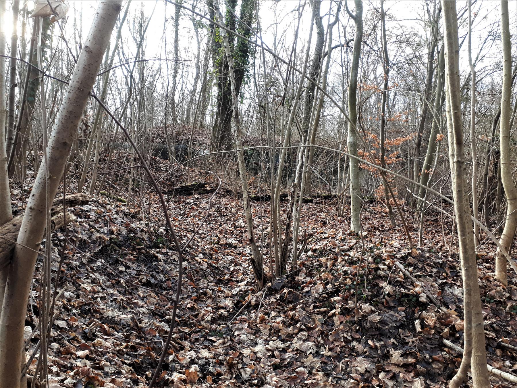 Ligne Maginot - UHRICH - HOCHE (1° BON 237° RI) - (PC de Sous-Quartier) - Tranchée sur le rempart du flanc gauche débouchant sur l'abri traverse gauche - Gregory Fuchs