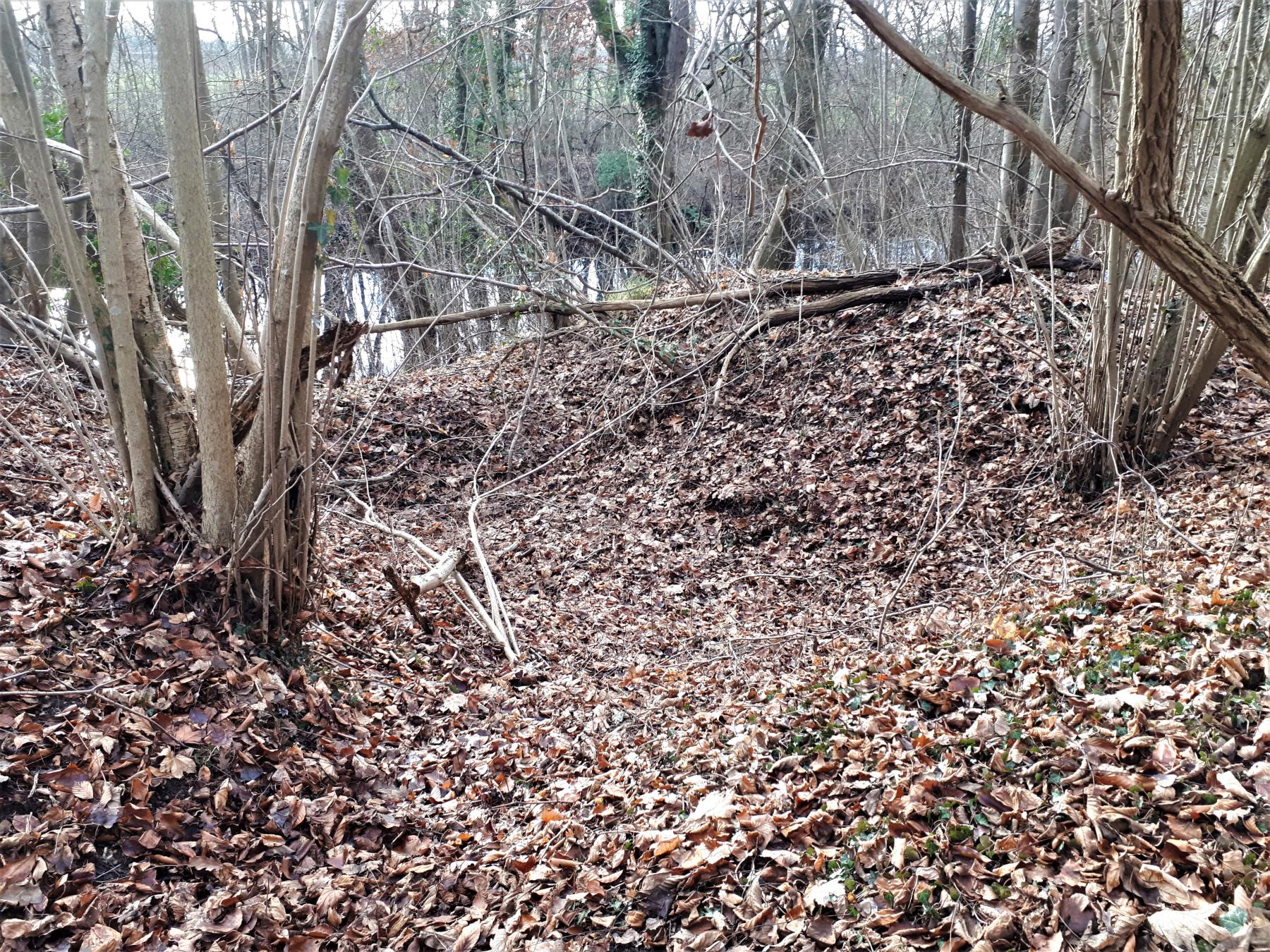 Ligne Maginot - UHRICH - HOCHE (1° BON 237° RI) - (PC de Sous-Quartier) - Fouille d'un abri en tôle métro sur le rempart du front de tête - Gregory Fuchs