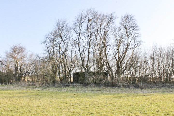 Ligne Maginot - HUNSTWIESE - (Blockhaus pour canon) - Vue générale - Christian LENHARD
