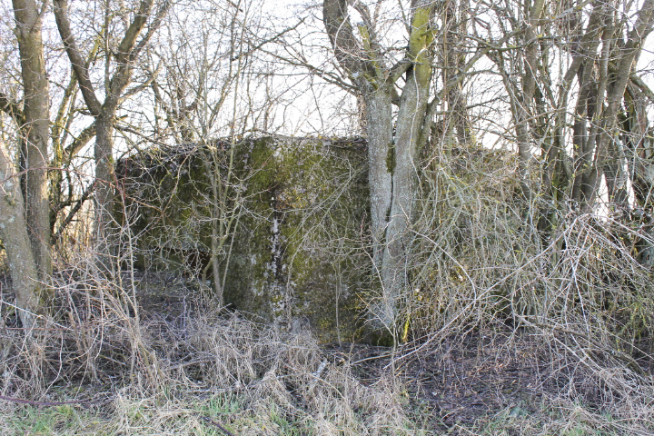 Ligne Maginot - HUNSTWIESE - (Blockhaus pour canon) - Façade de tir - Christian LENHARD