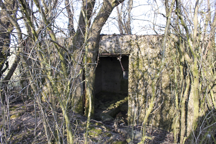 Ligne Maginot - HUNSTWIESE - (Blockhaus pour canon) - L'entrée du canon - Christian LENHARD