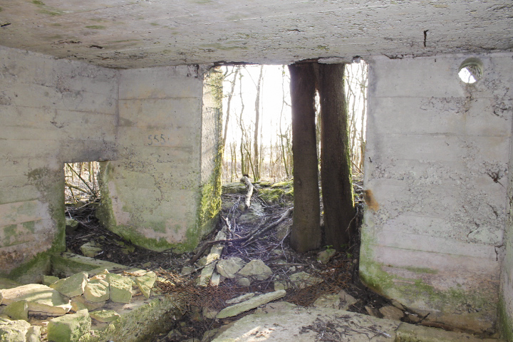 Ligne Maginot - HUNSTWIESE - (Blockhaus pour canon) - Les entrées - Christian LENHARD