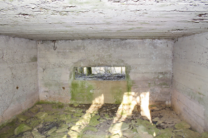 Ligne Maginot - HUNSTWIESE - (Blockhaus pour canon) - Le créneau - Christian LENHARD