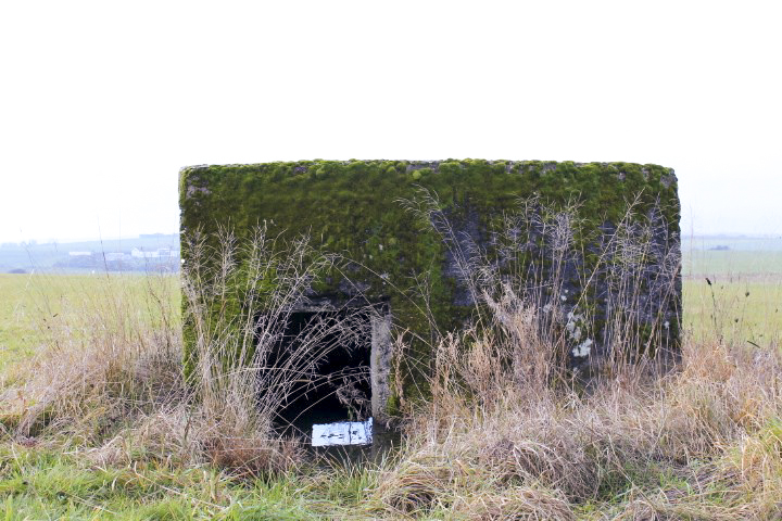 Ligne Maginot - HUNSTWIESE 2 - (Blockhaus pour arme infanterie) - L'entrée - Christian LENHARD