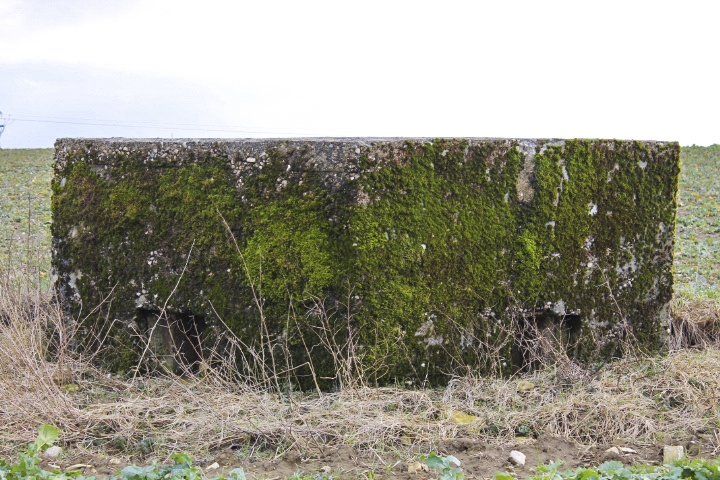 Ligne Maginot - KALKOFEN  1 - (Blockhaus pour arme infanterie) - Facade de tir
Deux créneaux fusils mitrailleurs - Christian LENHARD
