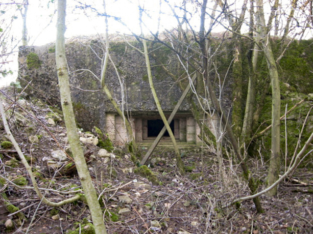Ligne Maginot - KALKOFEN 5 - (Blockhaus pour arme infanterie) - Vue générale - Christian LENHARD