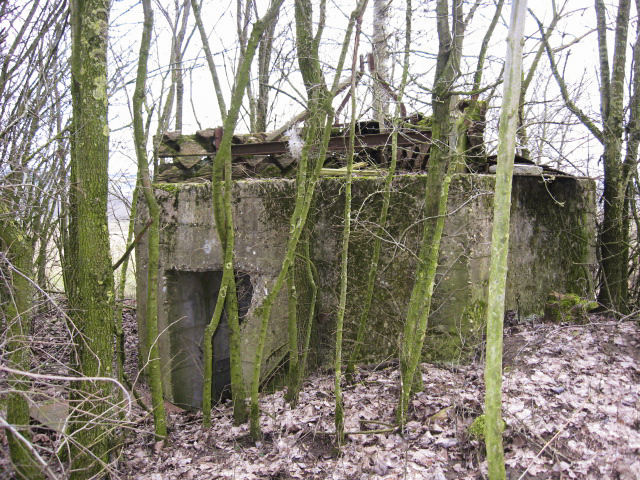Ligne Maginot - KLEINGEWAEND 1 - (Blockhaus pour arme infanterie) - Façade arrière - Christian LENHARD
