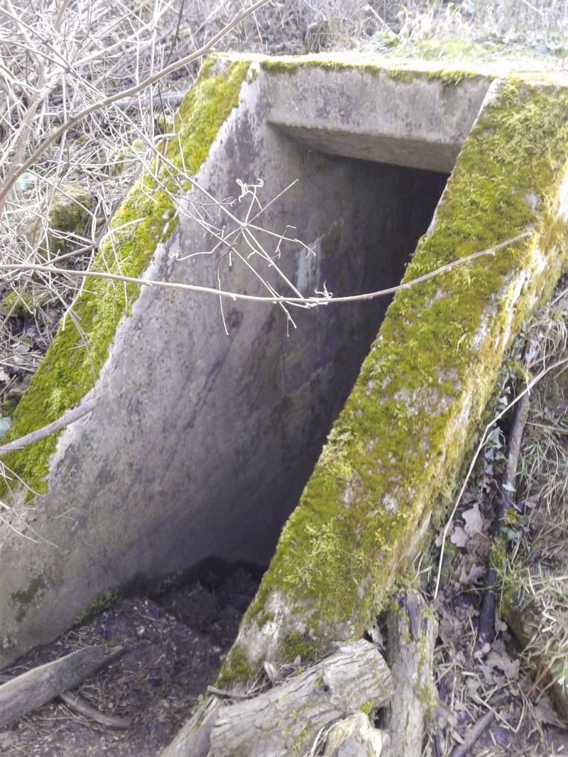 Ligne Maginot - CHAMOUILLETTE - (Central téléphonique isolé) - L'entrée principale, située à 15 m du puits. - Fabrice THOMASSIN