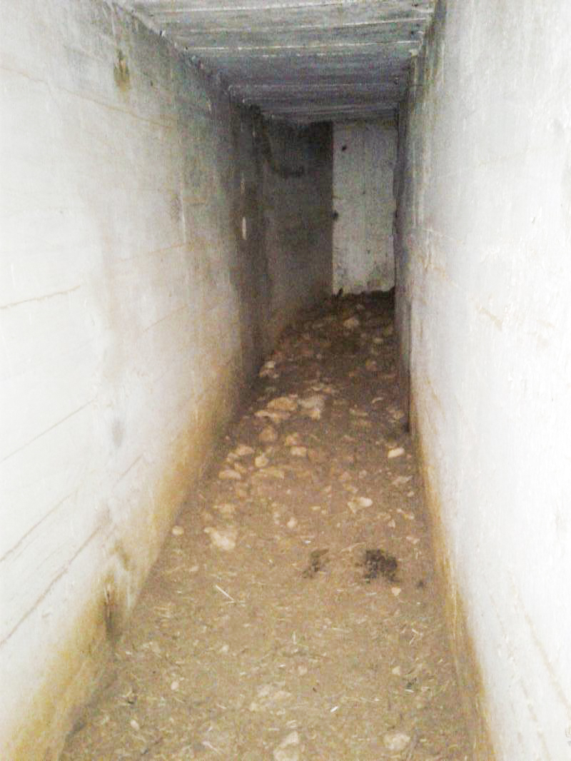 Ligne Maginot - CHAMOUILLETTE - (Central téléphonique isolé) - La galerie de liaison - Fabrice THOMASSIN