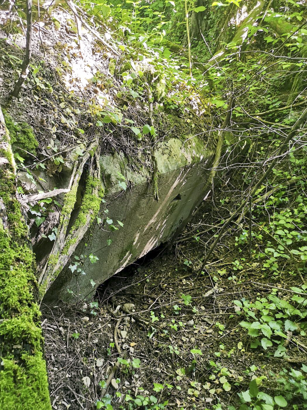Ligne Maginot - E670 - NOTRE DAME DES CHAMPS - (Blockhaus pour canon) - Complètement remblayé, on ne voit que le haut de l'arrière du blockhaus. - leiraph