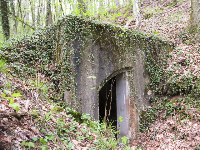 Ligne Maginot - METSCHBRUCK (59° RAMF ?) - (Abri) - L'entrée - Christian LENHARD