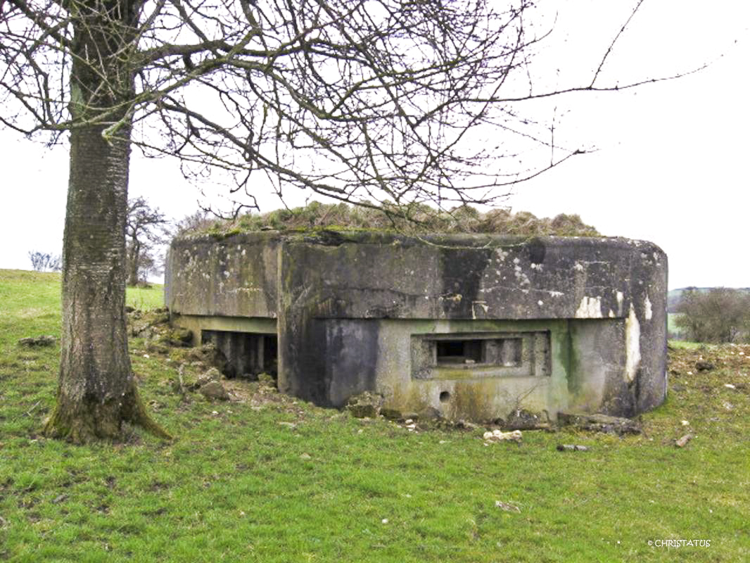 Ligne Maginot - LOHRBRONN - (Blockhaus pour arme infanterie) -  - Christian LENHARD
