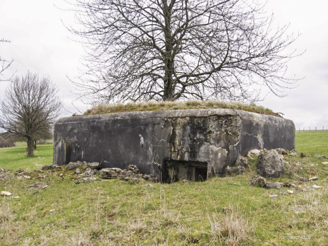 Ligne Maginot - LOHRBRONN - (Blockhaus pour arme infanterie) -  - Christian LENHARD