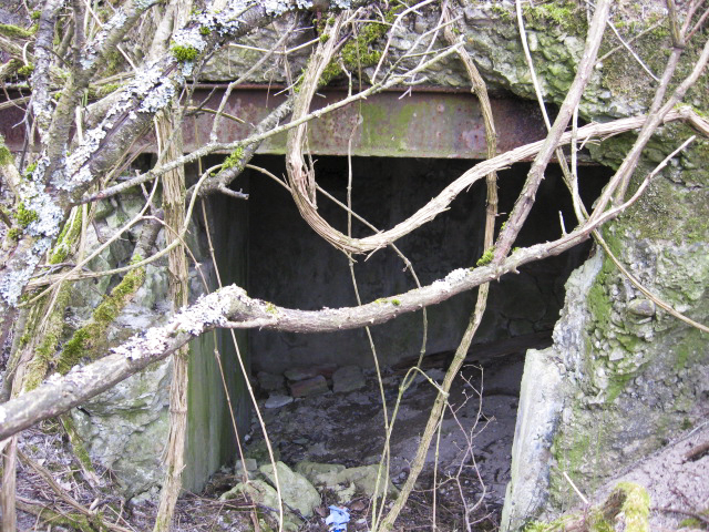 Ligne Maginot - MERRENRIED 3 - (Blockhaus pour arme infanterie) - L'entrée - Christian LENHARD