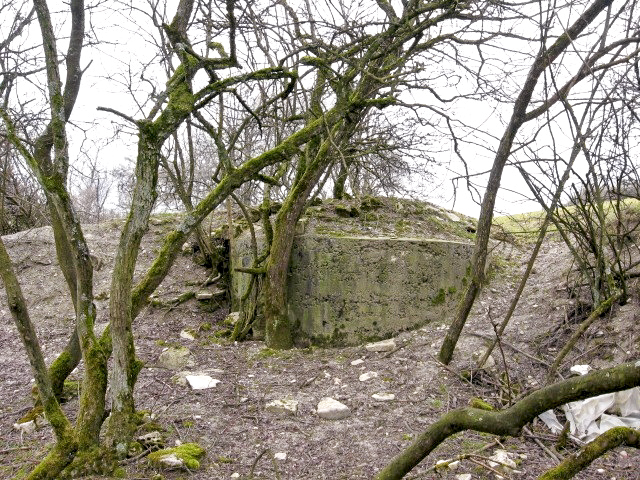 Ligne Maginot - MERRENRIED 2 - (Observatoire d'infanterie) - Vue générale - Christian LENHARD