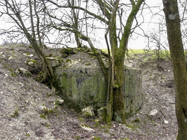 Ligne Maginot - MERRENRIED 2 - (Observatoire d'infanterie) - Vue générale - Christian LENHARD